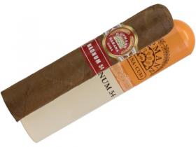 H. Upmann Magnum 54 Tubo