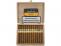 Cohiba Linea Clasica Exquisitos