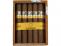 Cohiba Linea 1492 Siglo IV