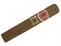 Romeo y Julieta Short Churchills